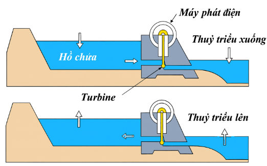 Hình minh họa câu hỏi
